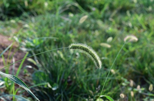 健康體檢APP軟件開發有哪些優勢
