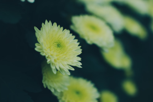 海口APP開發 海口APP開發