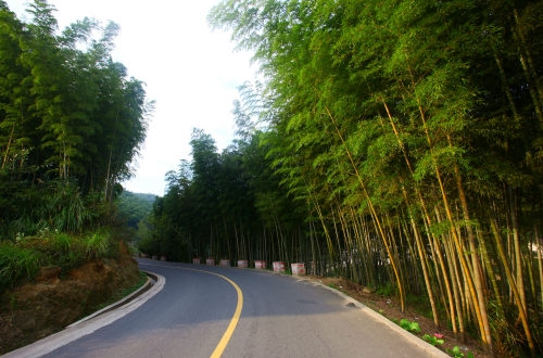 APP軟件開發究竟需要多少錢？