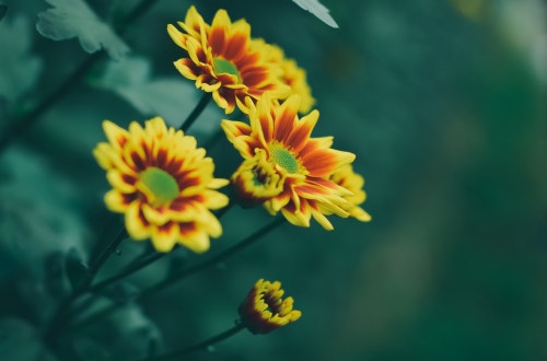 智慧社區軟件開發有什么價值呢？