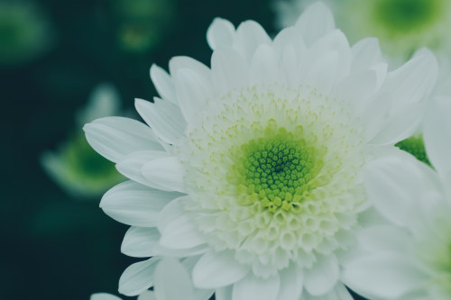 北京小程序開發