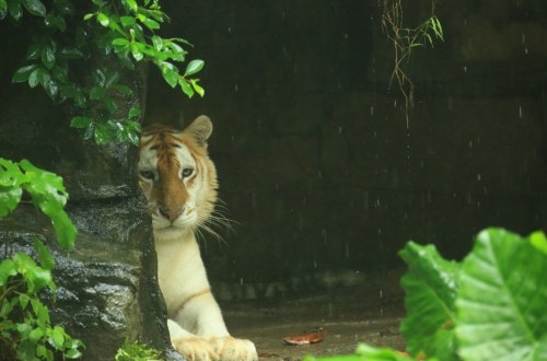 小程序訂貨軟件開發的很重要