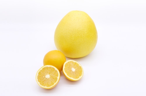 如何選擇一家好的軟件開發公司？