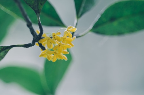 北京電商小程序開發具體有哪些好處