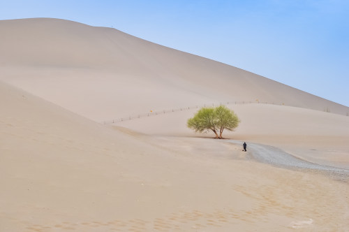 深圳小程序開發
