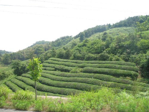 雄安小程序開發
