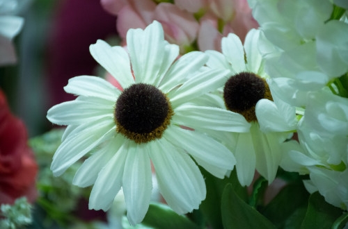 安卓app軟件開發有什么特點