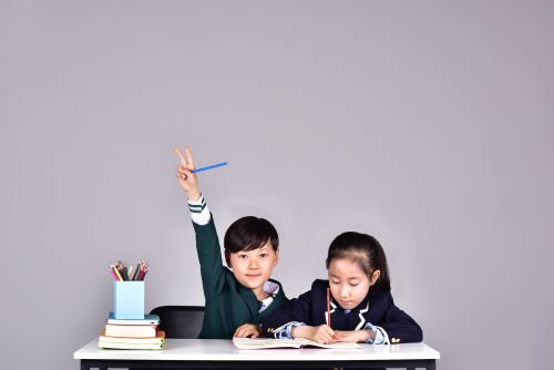 軟件開發公司