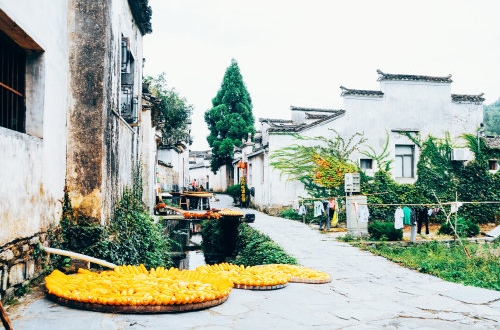 社區智能化軟件開發相關信息分享