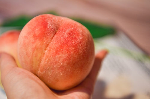 濟南外賣跑腿app軟件開發有哪些功能？