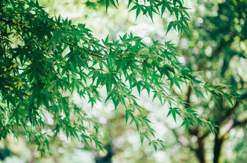 電影院購票app軟件開發方案與商業模式