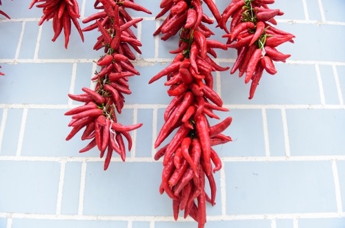 app軟件開發健身界的新體驗