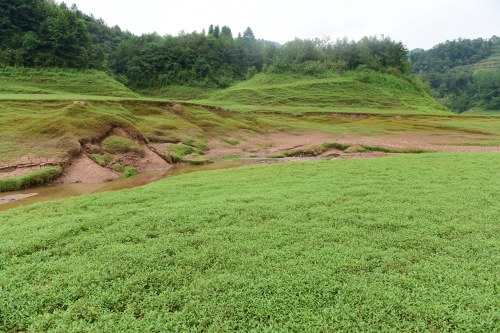 北京軟件開發