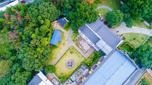 軟件開發公司