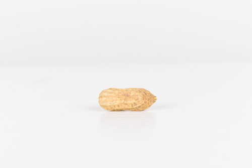 供應鏈管理