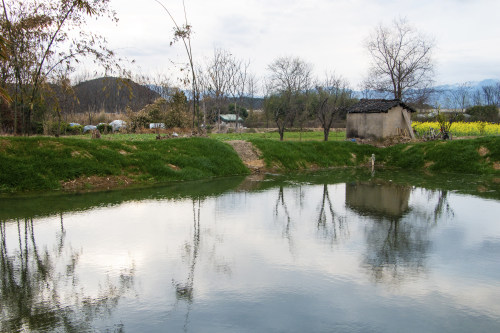 銀川小程序開發