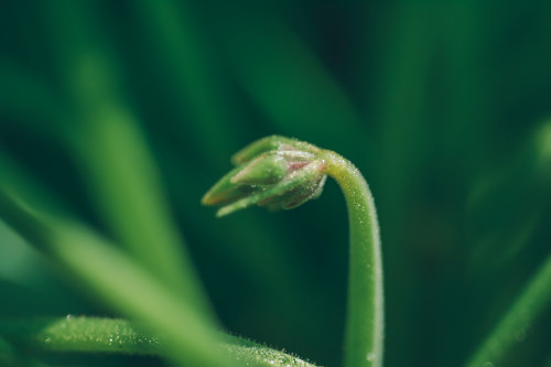  拉薩app開發