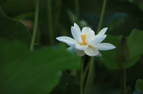 煙草業ERP管理系統實施所帶來的效益