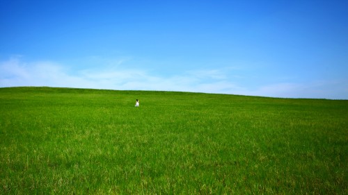 北京軟件開發 北京軟件開發
