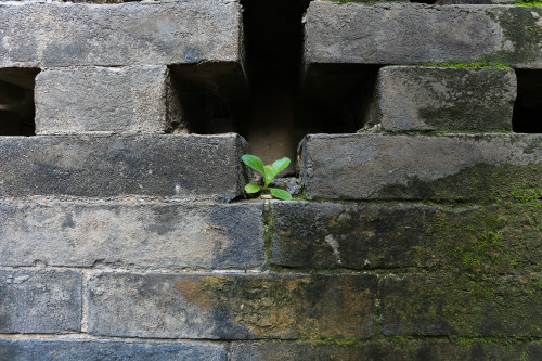 北京小程序開發 北京小程序開發