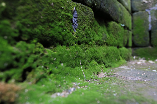 小程序開發公司