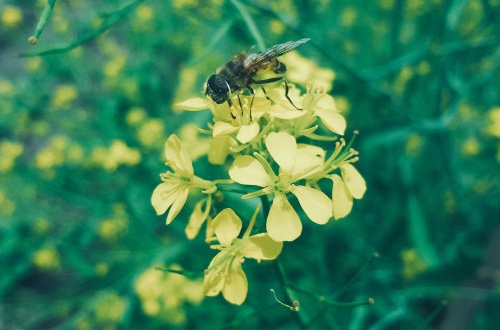 企業如何做好app軟件開發需求分析?