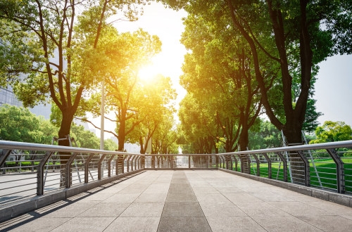 景德鎮陶瓷交易軟件開發需要哪些功能？