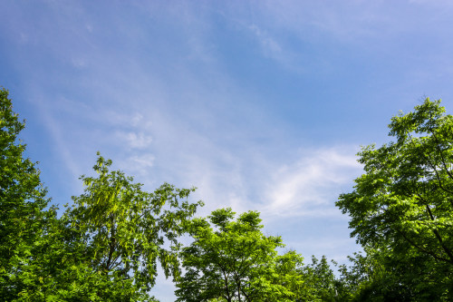 北京小程序開發