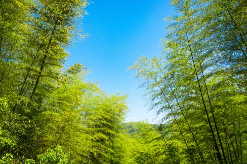 北京軟件開發