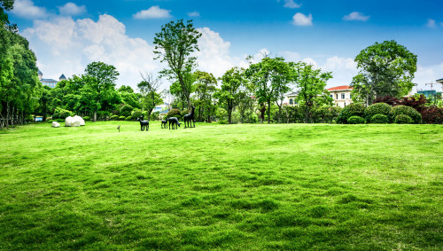 宿遷小程序開發