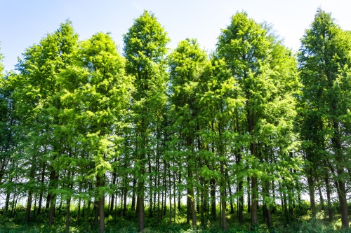 湖州小程序開發