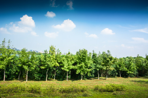 成都小程序開發